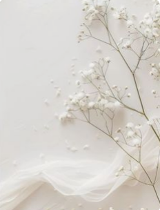 The Curation floral